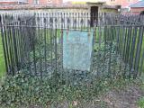 image of grave number 363312